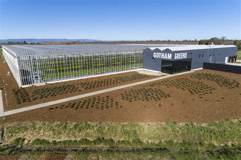 Gotham green - Gotham Greens chooses each greenhouse location with local communities top of mind, not only focusing on creating new “green” jobs and career paths that are long-lasting and sustainable for its ...